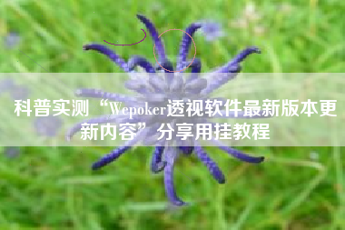 科普实测“Wepoker透视软件最新版本更新内容”分享用挂教程