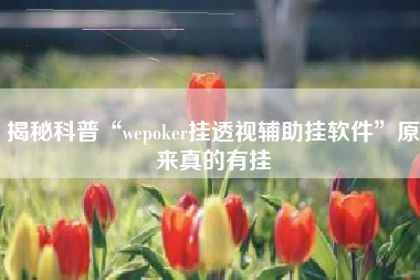 揭秘科普“wepoker挂透视辅助挂软件	”原来真的有挂