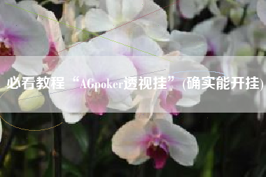 必看教程“AGpoker透视挂”(确实能开挂)