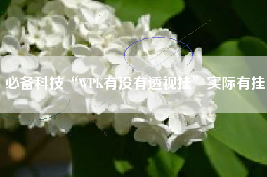 必备科技“WPK有没有透视挂”实际有挂