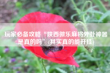 玩家必备攻略“陕西微乐麻将外卦神器是真的吗	”(其实真的能开挂)