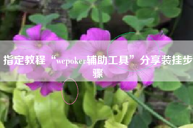 指定教程“wepoker辅助工具	”分享装挂步骤