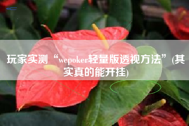 玩家实测“wepoker轻量版透视方法”(其实真的能开挂)