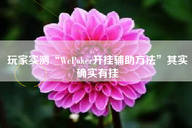 玩家实测“WePoker开挂辅助方法”其实确实有挂