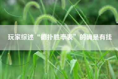 玩家综述“德扑胜率表	”的确是有挂