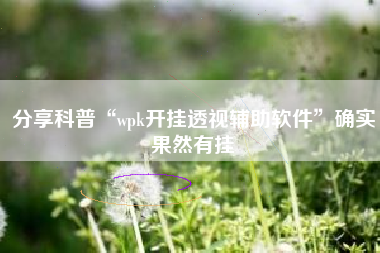 分享科普“wpk开挂透视辅助软件”确实果然有挂