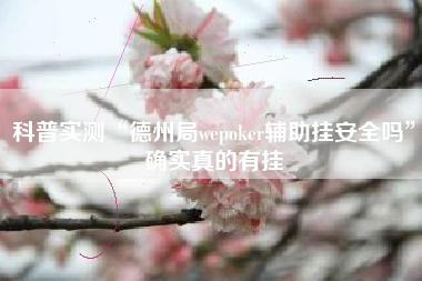 科普实测“德州局wepoker辅助挂安全吗	”确实真的有挂