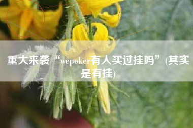 重大来袭“wepoker有人买过挂吗”(其实是有挂)