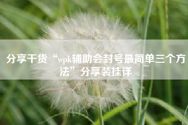 分享干货“wpk辅助会封号最简单三个方法”分享装挂详