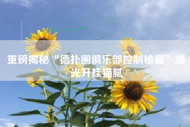 重磅揭秘“德扑圈俱乐部控制输赢	”爆光开挂猫腻