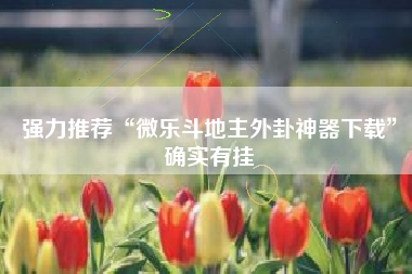 强力推荐“微乐斗地主外卦神器下载”确实有挂