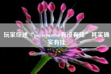 玩家综述“pokermaster有没有挂”其实确实有挂