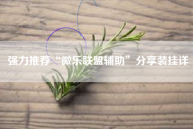 强力推荐“微乐联盟辅助”分享装挂详