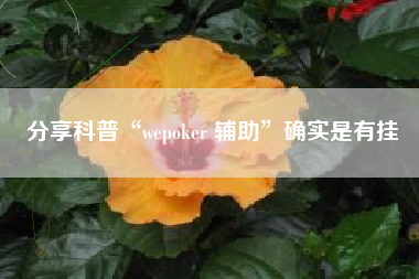 分享科普“wepoker 辅助”确实是有挂