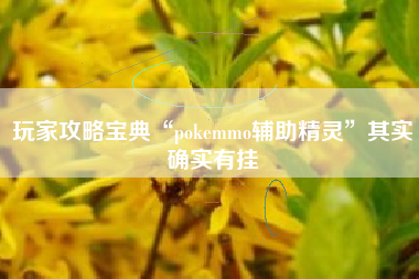 玩家攻略宝典“pokemmo辅助精灵	”其实确实有挂