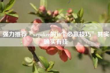 强力推荐“wepoker的10个必赢技巧”其实确实有挂