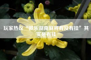 玩家热议“微乐湖南麻将有没有挂”其实是有挂
