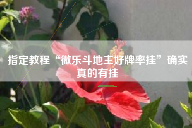 指定教程“微乐斗地主好牌率挂”确实真的有挂