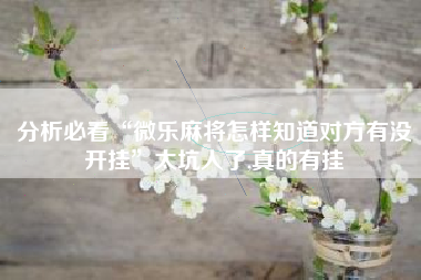 分析必看“微乐麻将怎样知道对方有没开挂”太坑人了,真的有挂