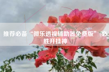 推荐必备“微乐透视辅助器免费版	”(必胜开挂神