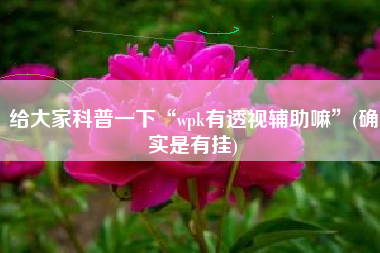给大家科普一下“wpk有透视辅助嘛”(确实是有挂)
