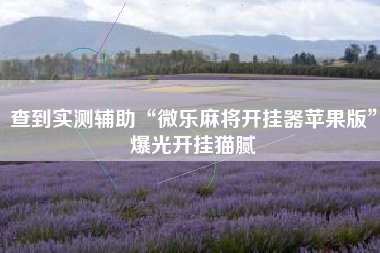 查到实测辅助“微乐麻将开挂器苹果版”爆光开挂猫腻