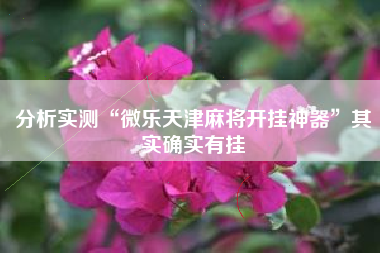 分析实测“微乐天津麻将开挂神器”其实确实有挂