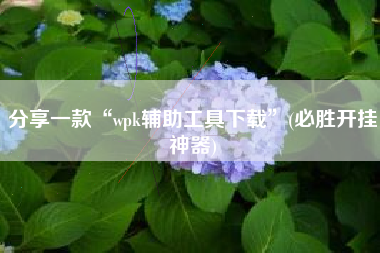 分享一款“wpk辅助工具下载”(必胜开挂神器)