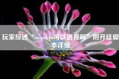 玩家综述“wepoker可以透视吗	”附开挂脚本详细
