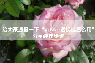 给大家通报一下“WePoker透视挂怎么用”分享装挂步骤