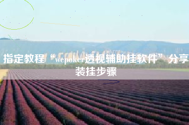 指定教程“wepoker透视辅助挂软件	”分享装挂步骤