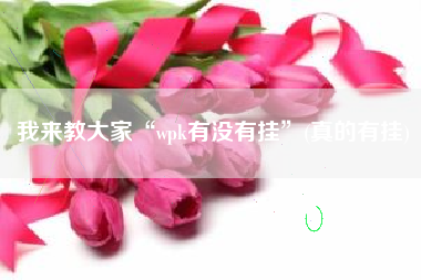 我来教大家“wpk有没有挂	”(真的有挂)