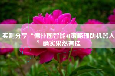 实测分享“德扑圈智能AI策略辅助机器人	”确实果然有挂