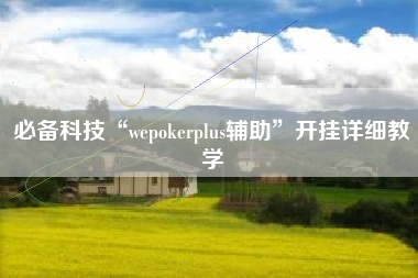 必备科技“wepokerplus辅助”开挂详细教学