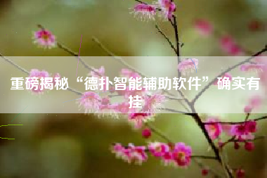 重磅揭秘“德扑智能辅助软件”确实有挂 重磅揭秘“德扑智能辅助软件”确实有挂