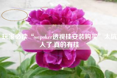 玩家必读“wepoker透视挂安装购买”太坑人了,真的有挂