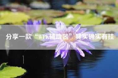分享一款“WPK辅助器”其实确实有挂