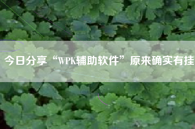 今日分享“WPK辅助软件	”原来确实有挂