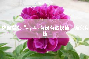 教程指点“wepoker有没有透视挂”确实有挂
