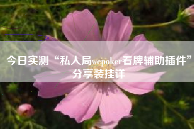 今日实测“私人局wepoker看牌辅助插件	”分享装挂详