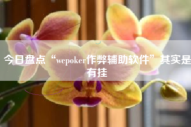 今日盘点“wepoker作弊辅助软件”其实是有挂
