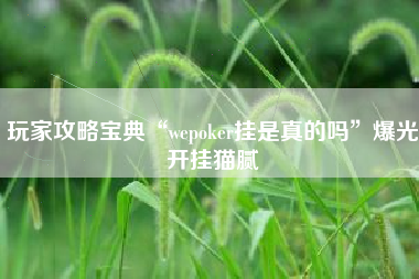 玩家攻略宝典“wepoker挂是真的吗	”爆光开挂猫腻
