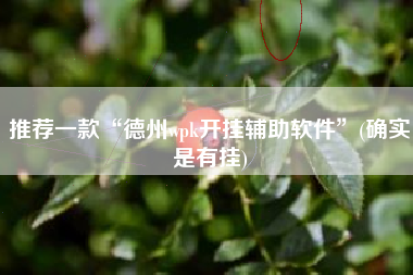 推荐一款“德州wpk开挂辅助软件	”(确实是有挂)