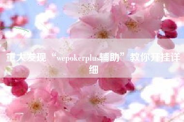 重大发现“wepokerplus辅助”教你开挂详细