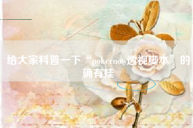 给大家科普一下“pokernow透视脚本”的确有挂