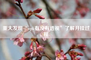重大发现“wpk有没有透视	”了解开挂过程