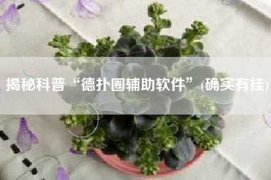 揭秘科普“德扑圈辅助软件	”(确实有挂)