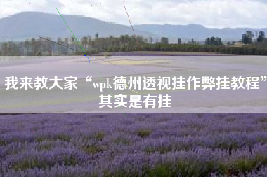 我来教大家“wpk德州透视挂作弊挂教程	”其实是有挂