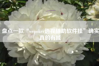 盘点一款“wepoker透视辅助软件挂”确实真的有挂