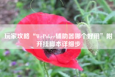玩家攻略“WePoker辅助器哪个好用”附开挂脚本详细步